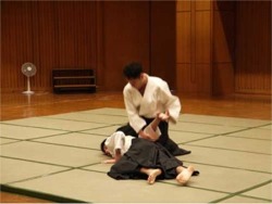 2013�N5���@��35�񍑍ە����@�����������